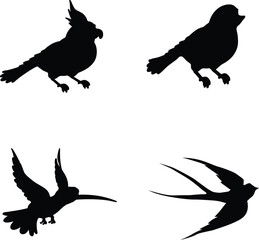 silhouettes of birds