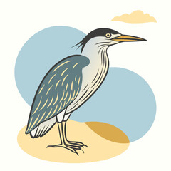 Wild Black-crowned Night Heron close up in her habitat vector