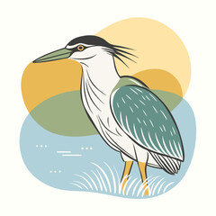 Wild Black-crowned Night Heron close up in her habitat vector