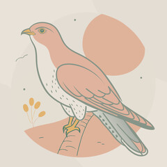 Wild Common Cuckoo in her habitat vector illustration