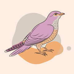 Wild Common Cuckoo in her habitat vector illustration