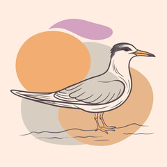 Wild Common Tern in her habitat vector illustration