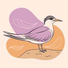 Wild Common Tern in her habitat vector illustration