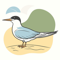Wild Common Tern in her habitat vector illustration
