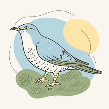 recommend clip art: Wild Common Cuckoo in her habitat vector illustration