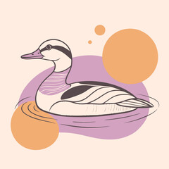 Wild Smew in her habitat vector illustration