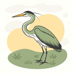 Wild Purple Heron in her habitat vector illustration