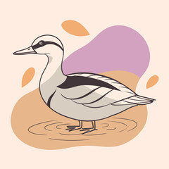 Wild Smew in her habitat vector illustration