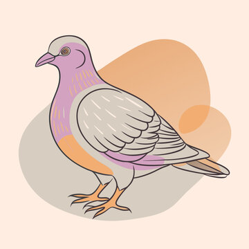 recommend clip art: Wild Wood pigeon close up in her habitat vector illustration