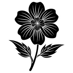 Nemophila flower vector silhouette illustration