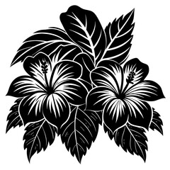 Nemophila flower vector silhouette illustration