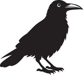 The crow on white background silhouette vector art