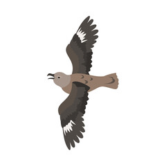 オオトウゾクカモメ（ナンキョクオオトウゾクカモメ）。フラットなベクターイラスト。
South polar skua. Flat vector illustration.