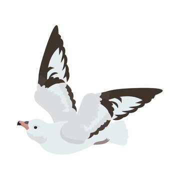 ギンフルマカモメ。フラットなベクターイラスト。
Southern fulmar. Flat vector illustration.