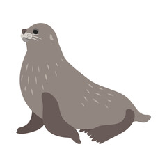 ナンキョクオットセイ。フラットなベクターイラスト。
Antarctic fur seal. Flat vector illustration.