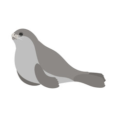 ロスアザラシ。フラットなベクターイラスト。
Ross seal. Flat vector illustration.