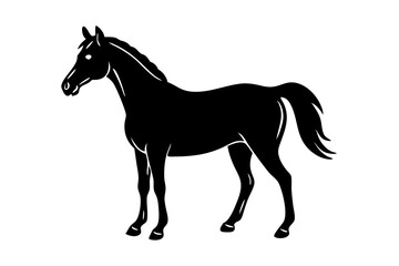 Horse silhouette  vector illustration 