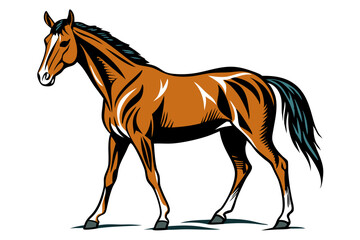 Horse  vector illustration  on white background 