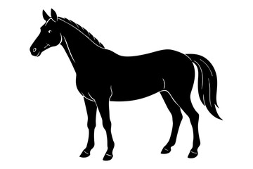 Horse silhouette  vector illustration 