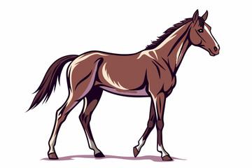 Obraz premium Horse vector illustration on white background 