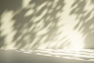 Wall interior background, studio and backdrops show products. with leaf shadow from window color beige and white. background for text insertion and presentation of product	
