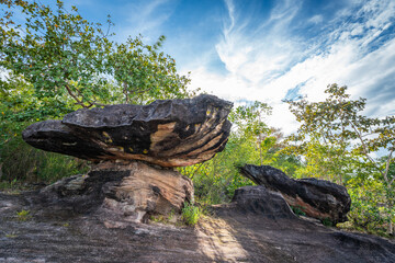 Obraz premium Sao Chaliang or sandstone pillar is a unique mushroom-shaped formation located in Pha Taem National Park, Ubon Ratchathani, Thailand