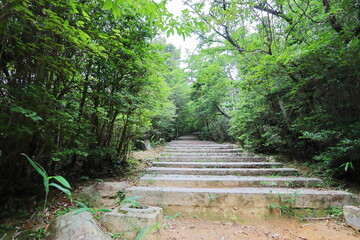 山の中のなだらかな長い石段