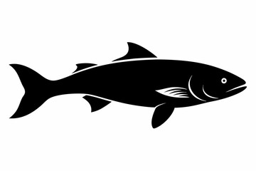 Salmon vector illustration, fish isolated on white, Salmon silhouette, Salmon vector art