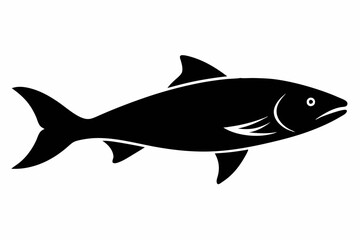 Salmon vector illustration, fish isolated on white, Salmon silhouette, Salmon vector art