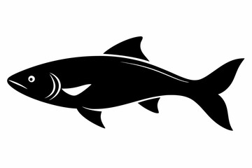 Salmon vector illustration, fish isolated on white, Salmon silhouette, Salmon vector art