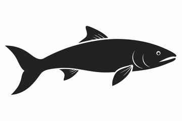 Salmon vector illustration, fish isolated on white, Salmon silhouette, Salmon vector art