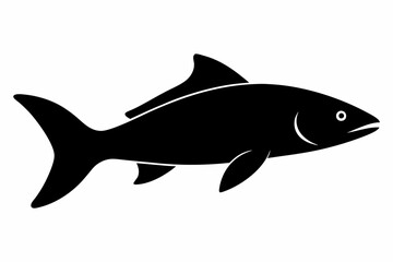 Salmon vector illustration, fish isolated on white, Salmon silhouette, Salmon vector art