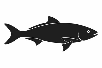 Salmon vector illustration, fish isolated on white, Salmon silhouette, Salmon vector art