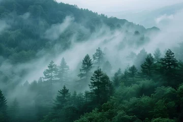 landscape mist in forest and moutain © Warisa