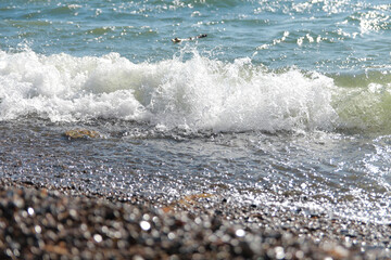 waves on the shore
