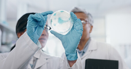 Science, people and research with petri dish in laboratory for medical study, experiment and...
