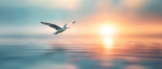 Fototapeta premium Serene seagull flying over calm ocean during a beautiful sunrise, capturing tranquility and freedom in nature.