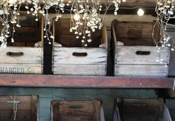 wooden boxes with dry plants illuminated by lamps on metal shelves