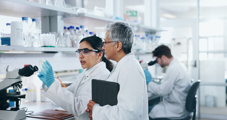 Woman, science and lab research with mentor, specimen discussion or compliance manager for...