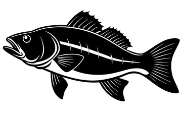 Bass vector illustration, Bass isolated on white, Bass silhouette, Bass vector art