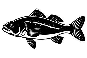 Bass vector illustration, Bass isolated on white, Bass silhouette, Bass vector art