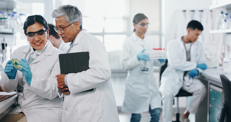 Petri dish, people or learning science in lab for breakthrough, cancer cure or medical development....