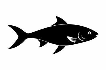 Fish vector illustration, hilsa isolated on white, hilsa silhouette, hilsa vector art