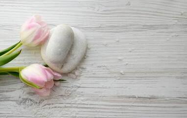 White spa stone and tender flowers with space for text. Meditation and minimalism. copyspase flatlay