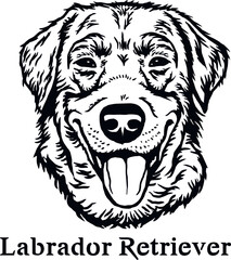 Labrador Retriever - Funny Dog, Vector File, Cut Stencil for Tshirt