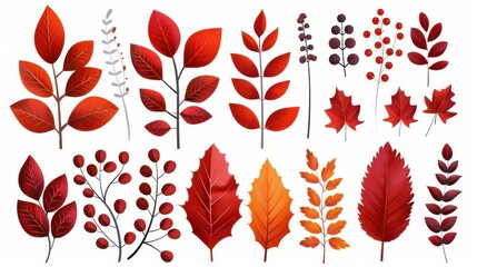 Vibrant autumn leaves design elements for stunning seasonal projects.