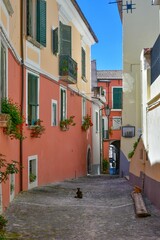 Obraz premium The italian village of Pietravairano in Campania.