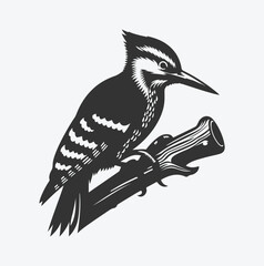 Majestic Woodpecker Silhouette, A Symbol of Nature's Resilience white background