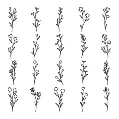 Fototapeta premium Set of plant and flower line art vector