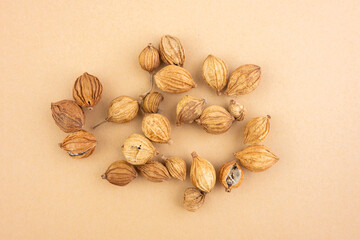 Chinese food stewed dishes Chinese herbal medicine spices fragrant amomum villosum